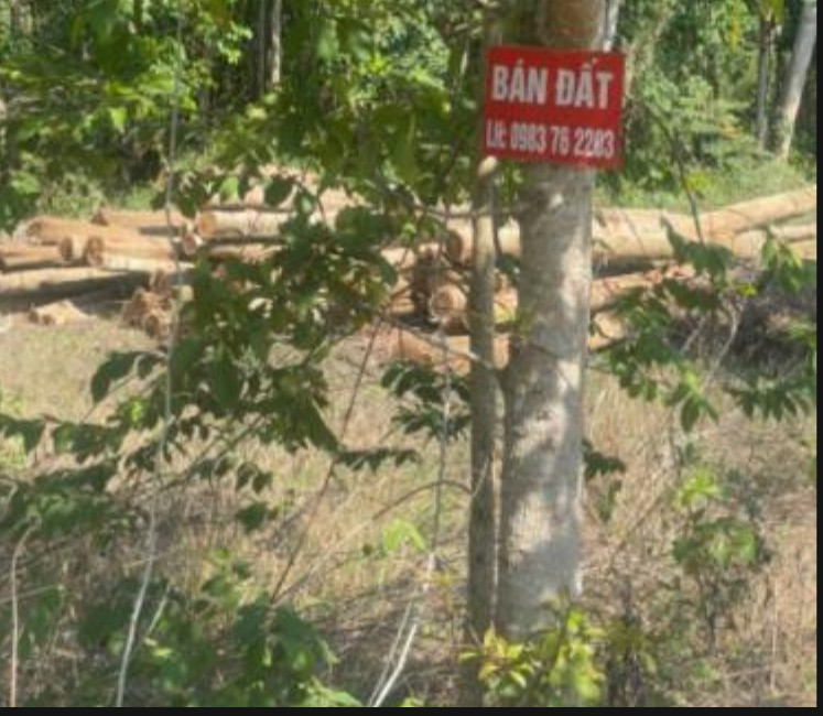 Đất Thổ Cư 127,8 M2,Đường nhựa 8m, An Viễn, Trảng Bom,Đồng Nai. 890.000.000 đ