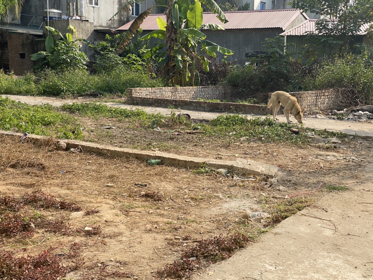 Bán hơn 60m đất Ninh sở Thường Tín gần ngay trung tâm Thôn 3 Vạn Phúc, gần ô tô giá chưa đến 2 tỷ