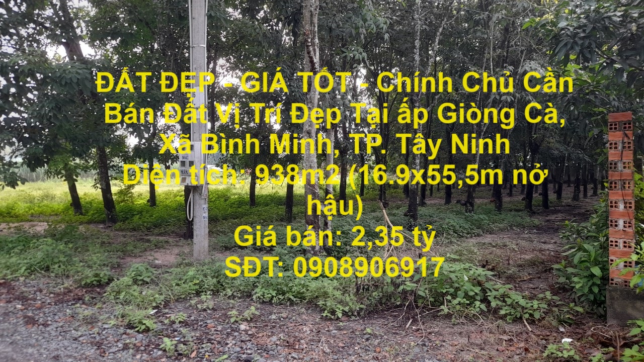ĐẤT ĐẸP - GIÁ TỐT - Chính Chủ Cần Bán Đất Vị Trí Đẹp Tại ấp Giòng Cà, Xã Bình Minh, TP. Tây Ninh