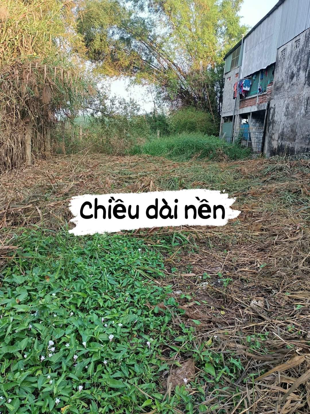 **BÁN NỀN NHÀ THỔ CƯ HUYỆN AN PHÚ- TỈNH AN GIANG NGANG 8M DÀI 42