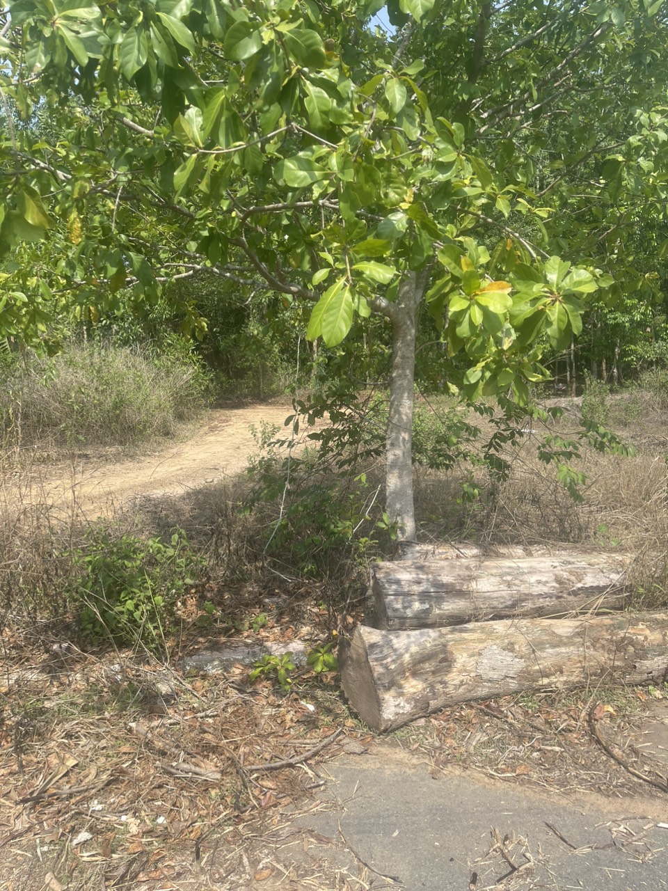 (Chính chủ bán) MT đường nhựa 8m, xã An Viễn, huyện Trảng Bom, Tỉnh Đồng Nai( miếng đất giáp với quận 9, tp HCM).