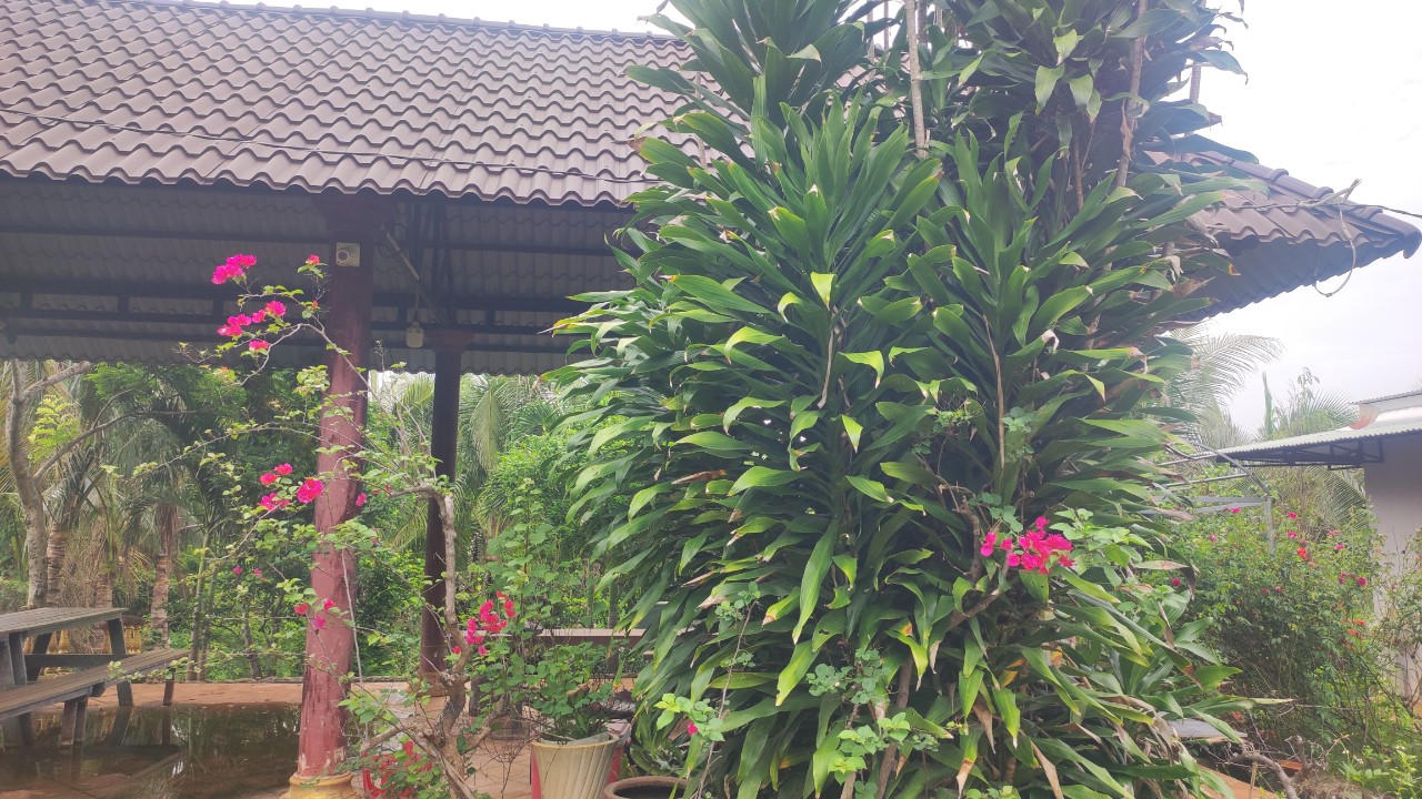 1,3 SÀO NGHỈ DƯỠNG CÓ SẴN, 150M THỔ CƯ GIÁ NGỘP