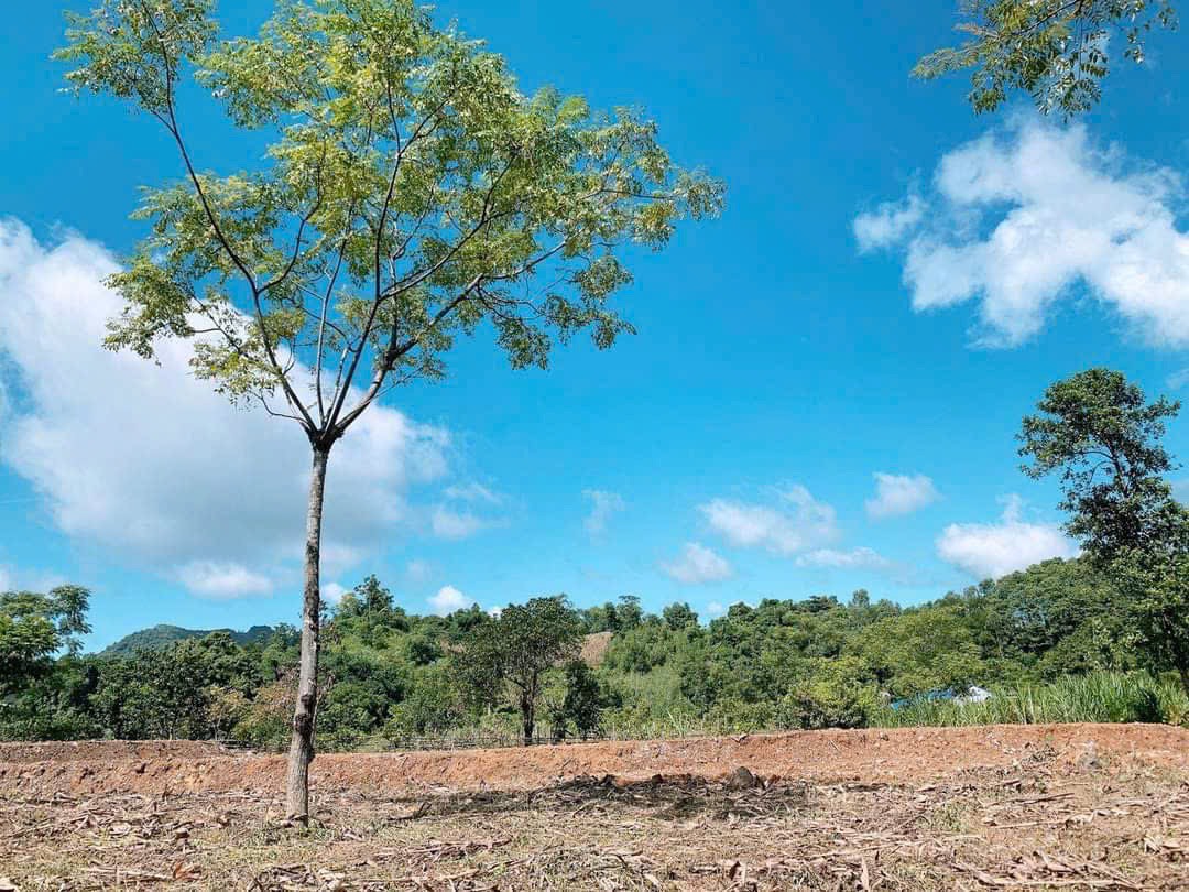 Em bán gấp trong tuần mảnh đất tại thị trấn Đà Bắc - Hoà Bình