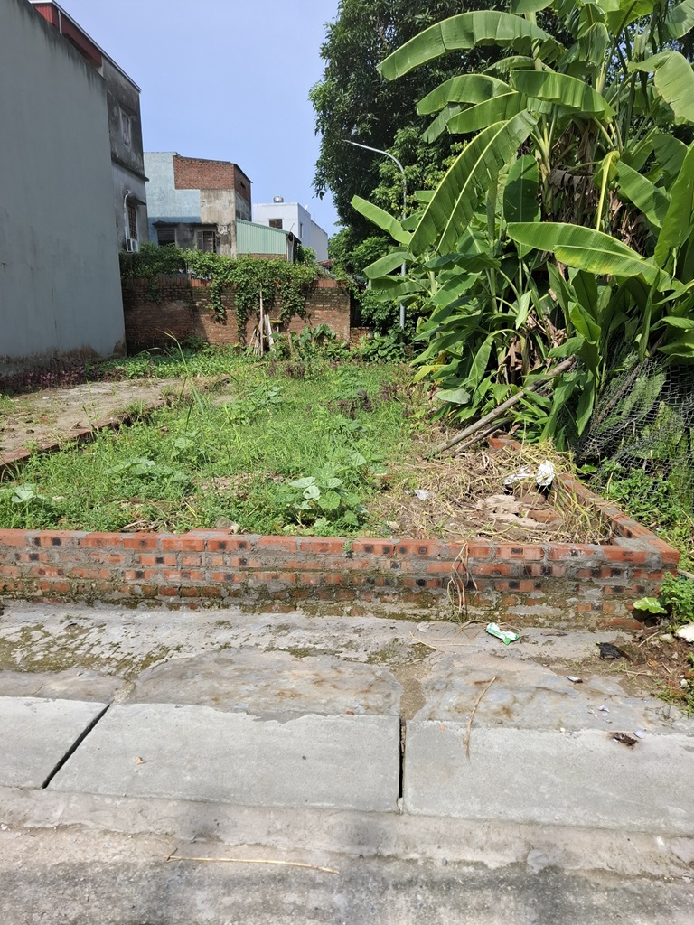 Bán đất Lương Quy – Xuân Nộn, 55m x 4m oto tải vào nhà, thông ô bàn cờ, giá 2,x tỷ TL. LH: 0936123469