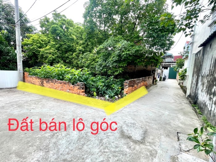 BÁN MẢNH ĐẤT SIÊU ĐẸP TẠI DƯƠNG ĐỨC HIỀN, GIA LÂM 100M, 2,9 tỷ. Ô TÔ VÀO, LÔ GÓC.