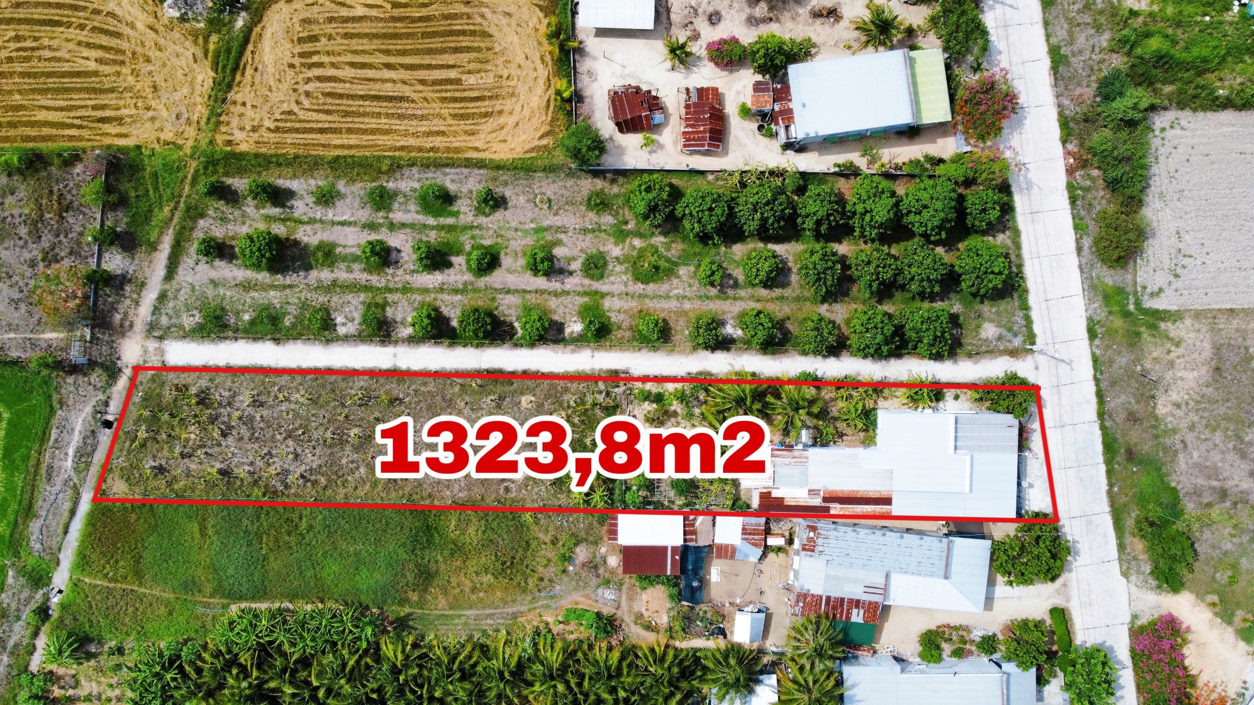 ĐẤT CHÍNH CHỦ - GIÁ TỐT - Vị Trí Đắc Địa Tại Cam Thành Bắc - Cam Lâm - Khánh Hoà