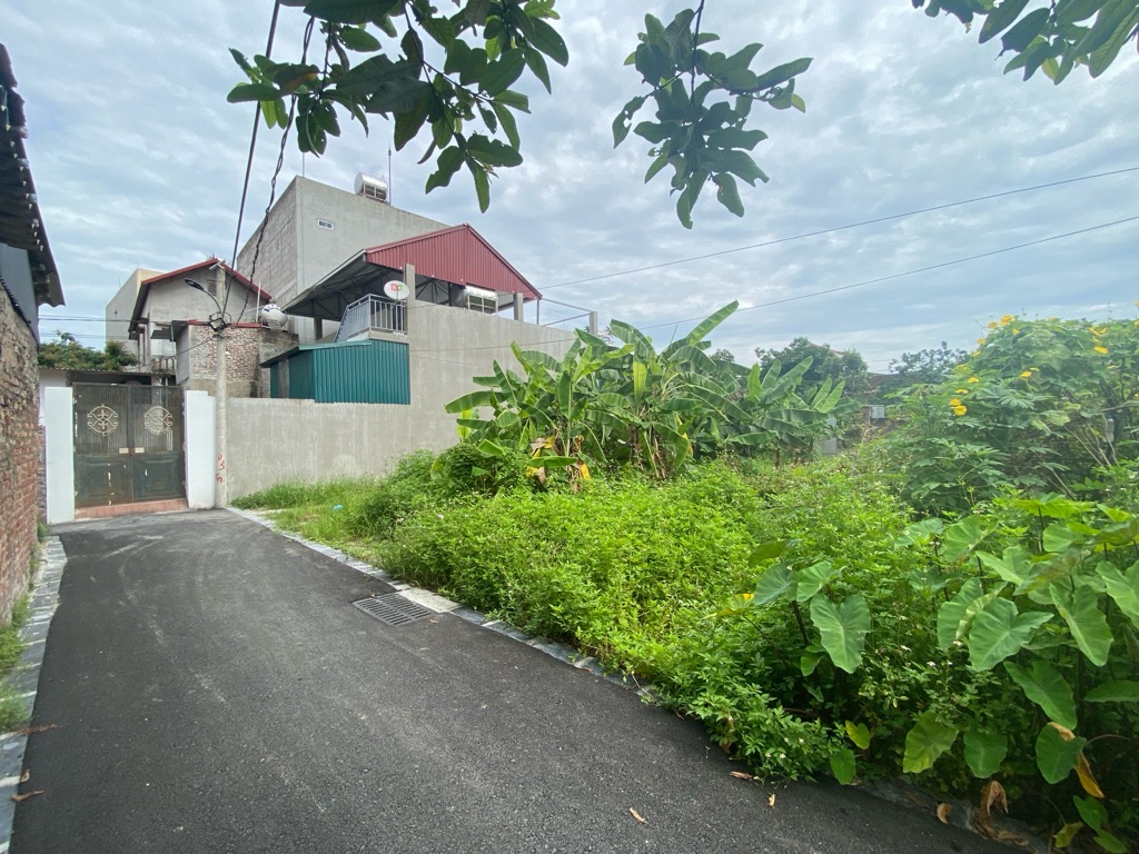 Bán đất Bến Trung Bắc Hồng, 154m x 8,5m, 2 thoáng, chia 3 lô, oto 7 chỗ giá chỉ 5,x tỷ TL. LH: 0936123469