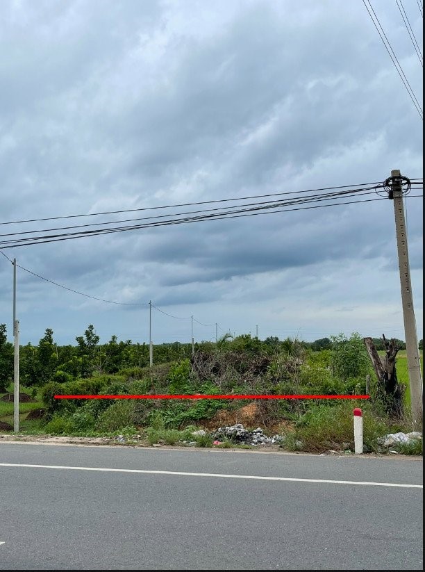 Bán đất chính chủ đường DT 784 Ấp 2 - Bàu Đồn - Gò Dầu - Tây Ninh