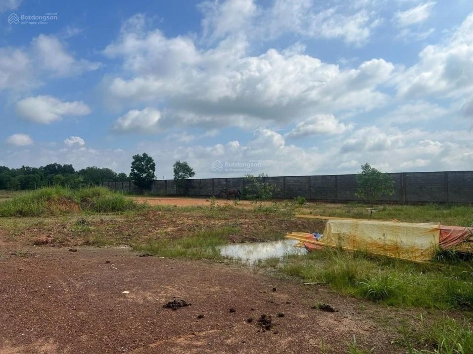 Bán đất XD nhà xưởng (SKC) 17.620m2 giá 70,4 tỷ - Tam Phước - Biên Hòa - Đồng Nai: 0917511235