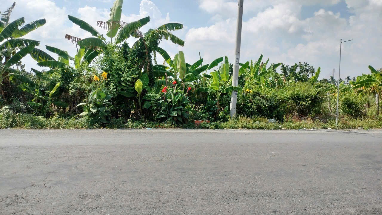 ĐẤT CHÍNH CHỦ - Vị Trí Đẹp tại ấp Mỹ Hưng 2, xã Mỹ Hòa, khu công nghiệp Bình Minh, Vĩnh Long