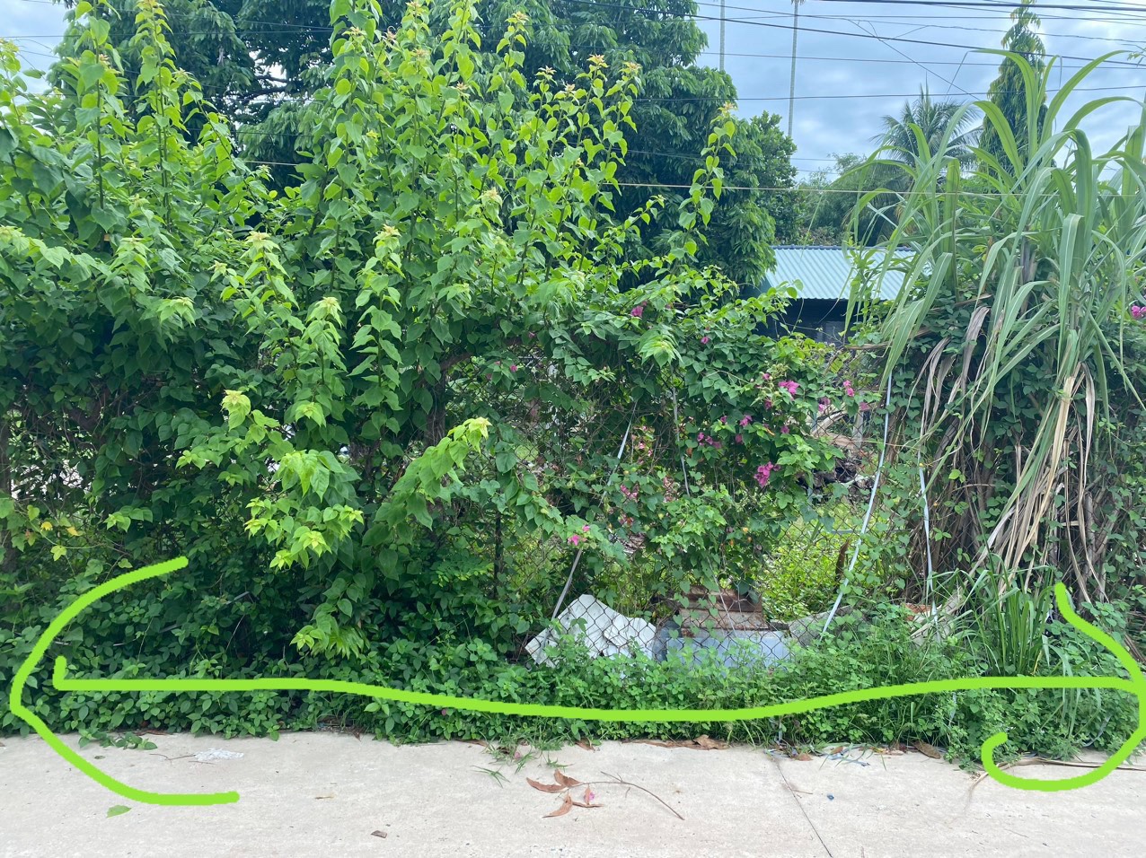 BÁN ĐẤT CHÍNH CHỦ 430m2, Có 70m Thổ Cư Trung Tâm Hành Chính huyện Dương Minh Châu, Tây Ninh