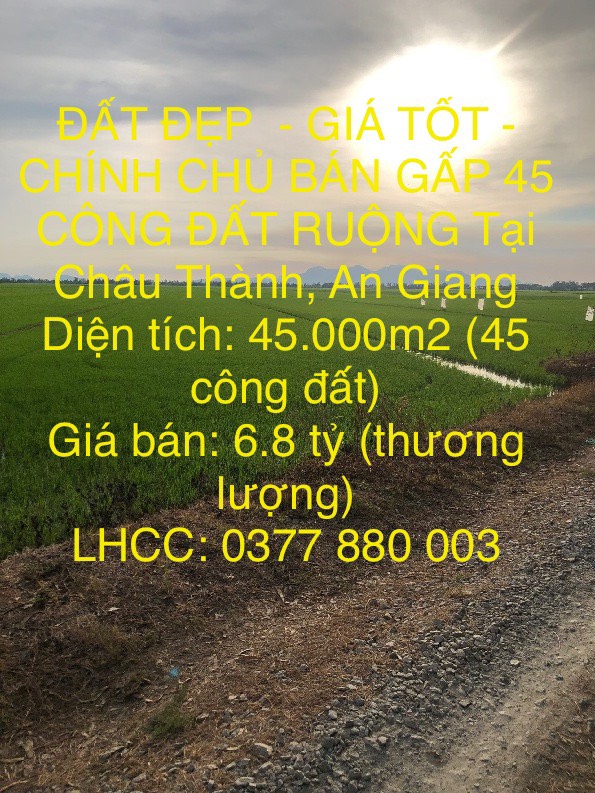 ĐẤT ĐẸP - GIÁ TỐT - CHÍNH CHỦ BÁN GẤP 45 CÔNG ĐẤT RUỘNG Tại Châu Thành, An Giang