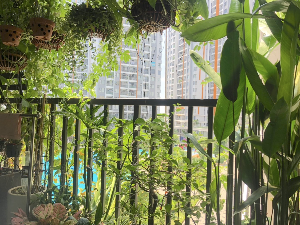 BÁN CĂN HỘ SAFIRA KHANG ĐIỀN, 2PN 2WC, HƯỚNG ĐÓN BÌNH MINH, CÓ SỔ