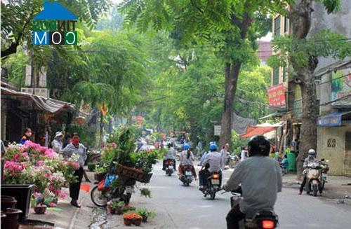 MẶT PHỐ HOÀNG HOA THÁM- TÂY HỒ 102m2 – 5T- MT 7.7m- KINH DOANH- VỈA HÈ ĐÁ BÓNG- GIÁ CHÀO 36 TỶ