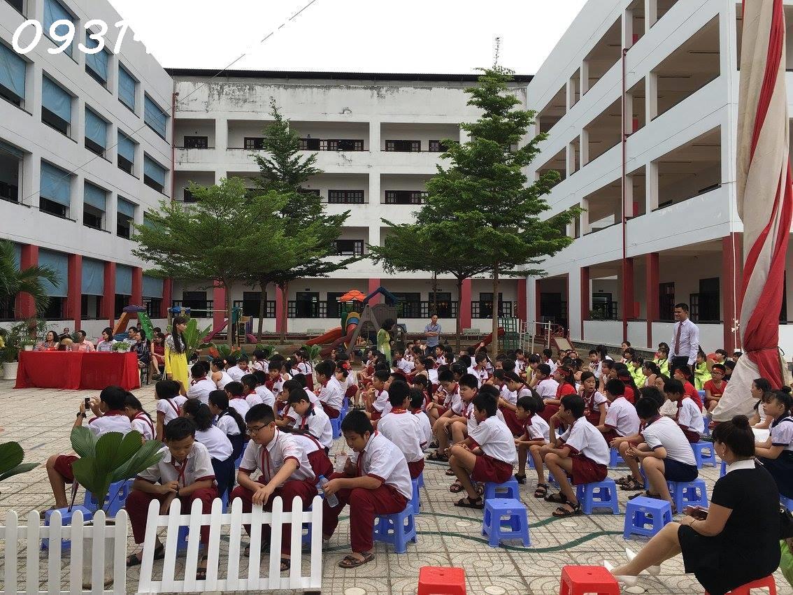 Cơ hội đầu tư: Chuyển nhượng Trường Liên Cấp 1 - 2 - 3 Trí Tuệ Việt, 14.555,5m², 4 Tầng