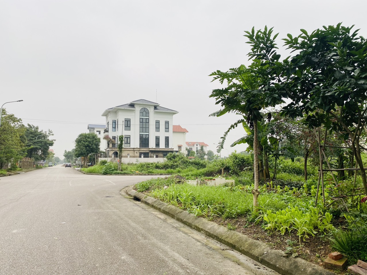 Bán biệt thự khu Võ Cường, Bắc Ninh.