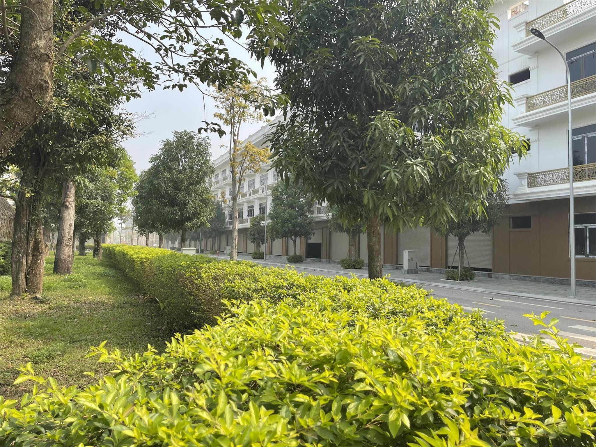 THANH TOÁN 1.8 TỶ NHẬN NHÀ SANG TÊN SỔ NGAY. CK ĐẾN 460 TRIỆU. LH: 0966 343 969