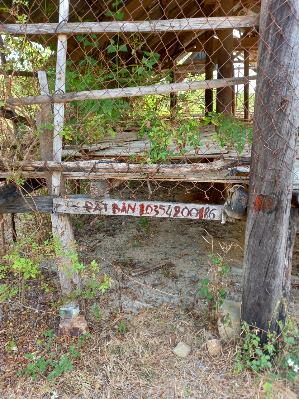 Chính Chủ Cần Bán Nhanh Lô Đất Thôn Suối Môn, Xã Cam Phước Đông, TP Cam Ranh, Khánh Hòa