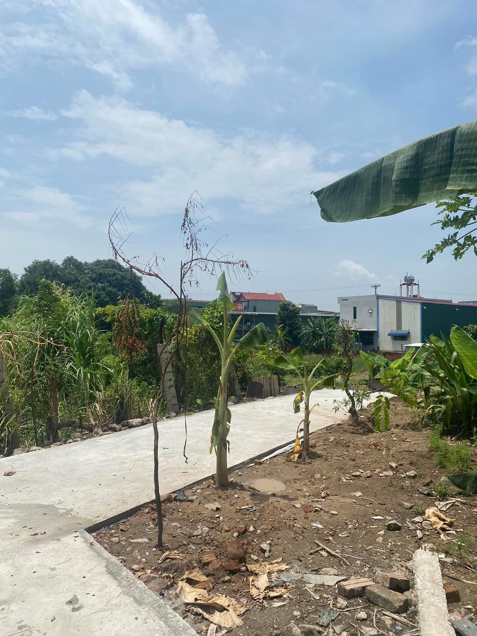 CC cần chuyển nhượng lô đất tại Sơn Trung, Bắc Ninh.