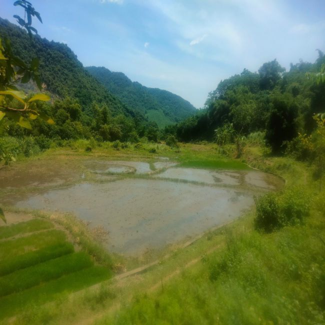 Đất nghỉ dưỡng, thương mại dịch vụ tại thành phố Hòa Bình, tỉnh Hòa Bình