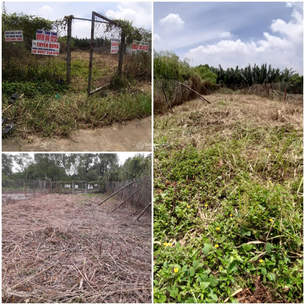 Chính chủ cần bán đất MT Đào Sư Tích, Phước Lộc, Nhà Bè. Bán: 12,7 tỷ. LH 0903 304 104