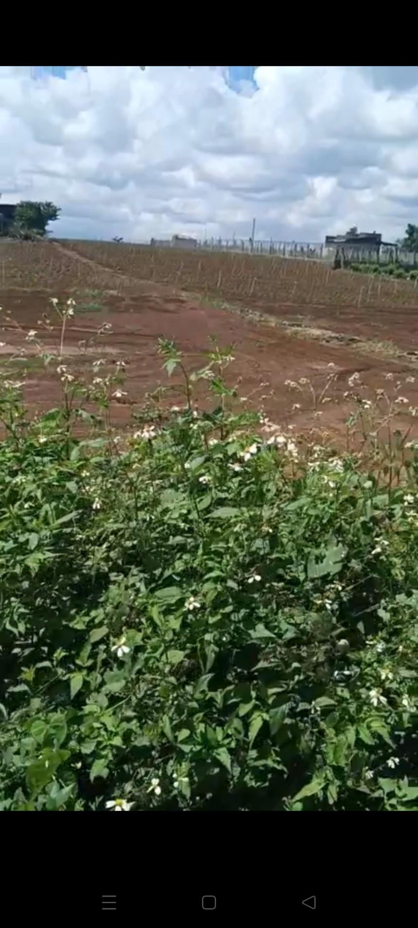 HOT HOT- CẦN BÁN GẤP LÔ Đất tại Thị Trấn Liên Nghĩa – huyện Đức Trọng – tỉnh Lâm Đồng