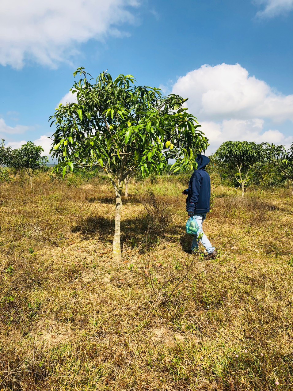 CHÍNH CHỦ CẦN BÁN GẤP LÔ ĐẤT RỘNG HƠN 10.000M2 THỊ XÃ NINH HÒA - KHÁNH HÒA