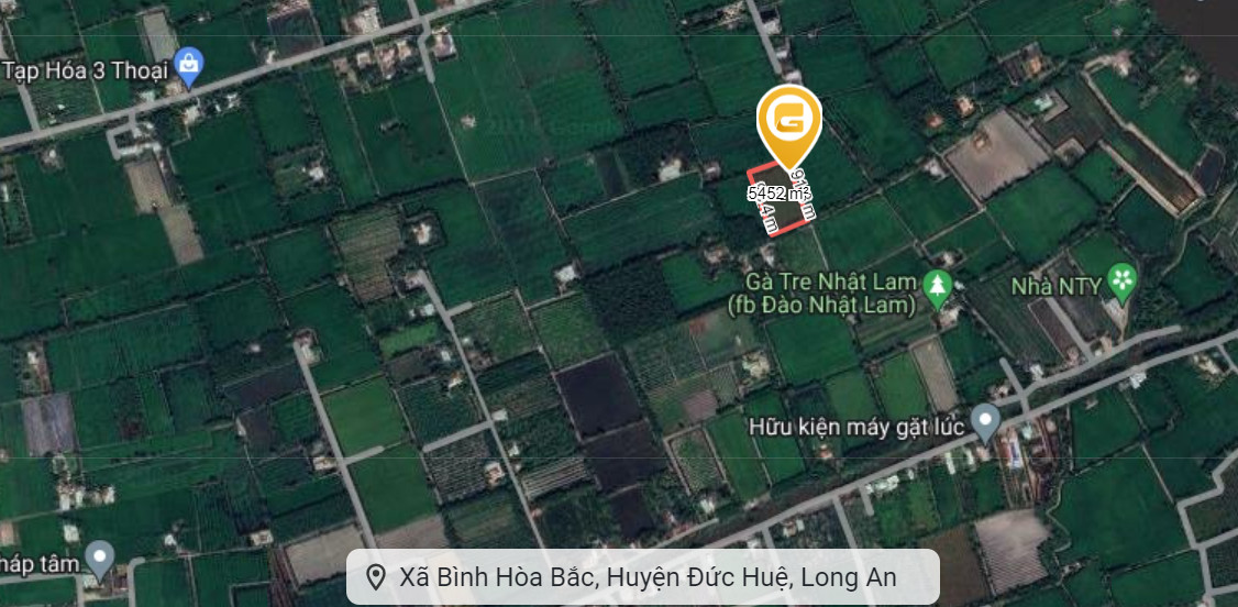 Cần bán lô đất Thổ cư 1001m2 Ấp An Hòa, xã Bình Hòa Bắc, Đức Huệ, Long an