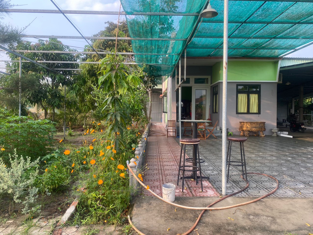 CHÍNH CHỦ CẦN BÁN GẤP NHÀ VƯỜN Ở TRUNG LẬP THƯỢNG - TP HỒ CHÍ MINH