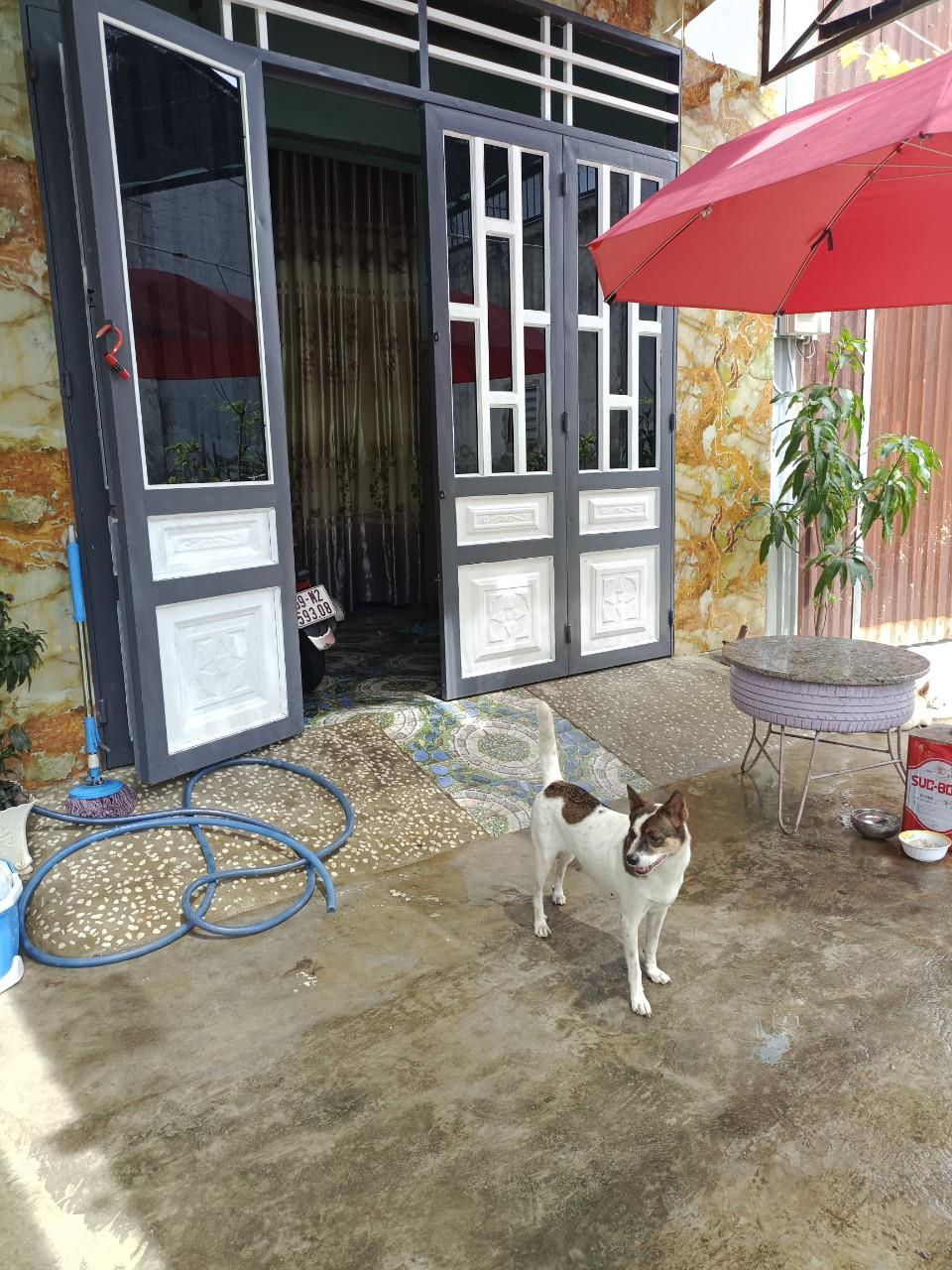 Chính Chủ Cần Bán Căn Nhà Vị Trí Đẹp - Giá Tốt Tại Vĩnh Lộc B, Bình Chánh, HCM