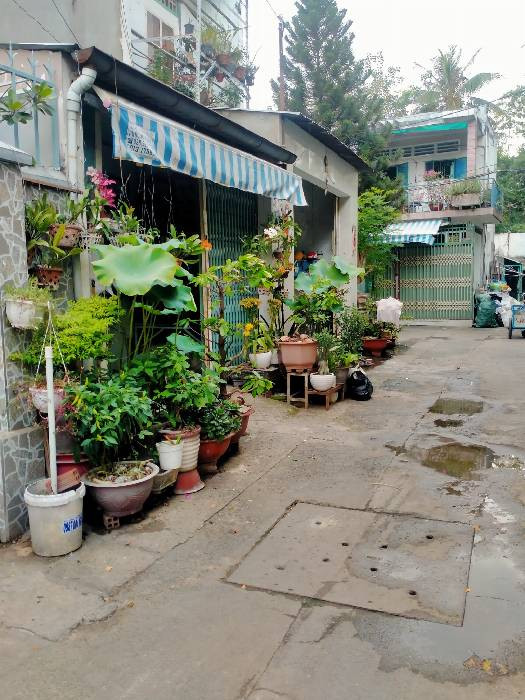 Nhà C4 hẻm xe tải gần mt Lê Đức Thọ,P17,Gò Vấp 46m2 chỉ 4ty2