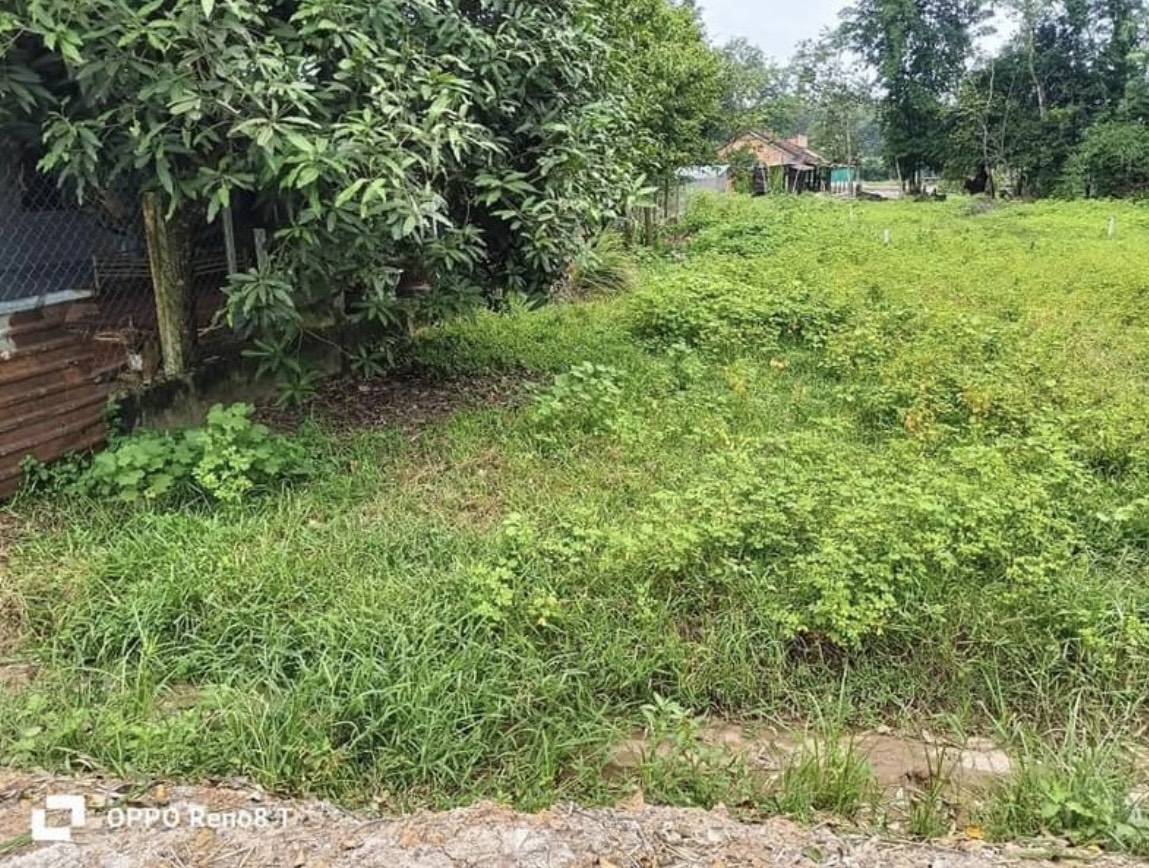 ĐẤT CHÍNH CHỦ - GIÁ TỐT - Vị Trí Đẹp Tại Ấp Cây Xoài, Xã Thanh Phước, Huyện Gò Dầu, Tỉnh Tây Ninh