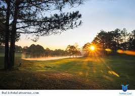 LỢI THẾ TĂNG GIÁ MẠNH LÔ ĐẤT 5 X 13m ĐÃ CÓ SỔ HỒNG TẠI THÀNH PHỐ ĐÀ LẠT.