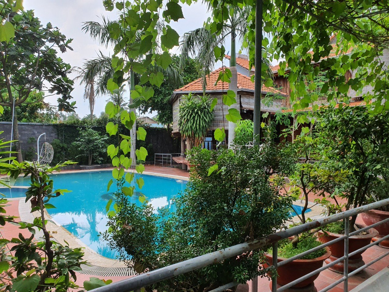 Cần mua đất, nhà tại phường vĩnh Phú, Tp Thuận AN, BD