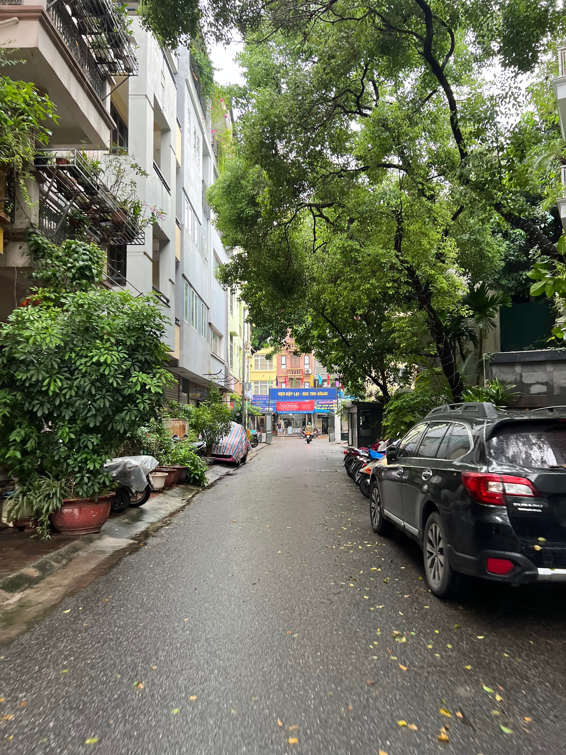 CẦN BÁN NHÀ GIẢNG VÕ DT: 59M 4T 5.8MT