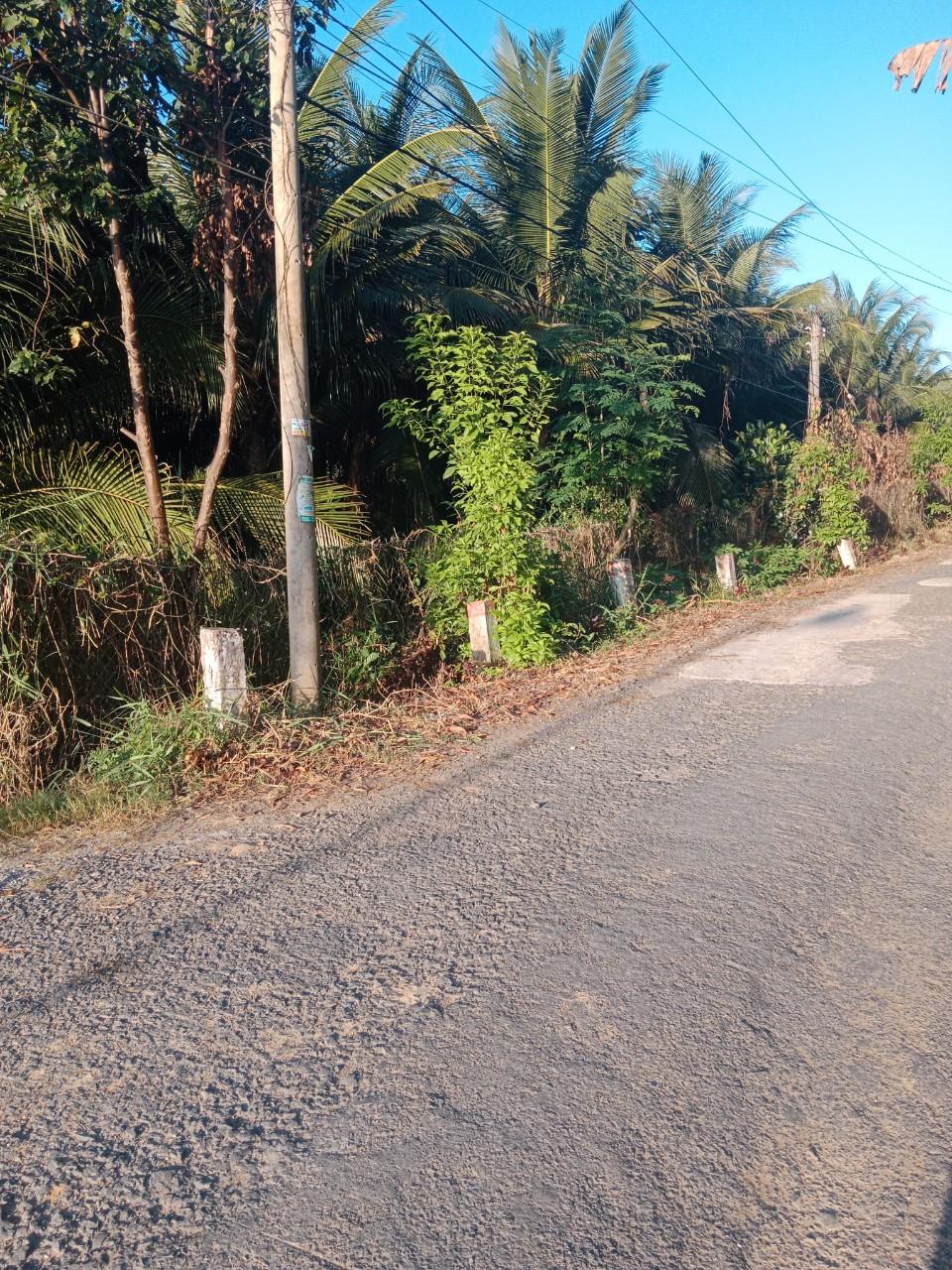 CHÍNH CHỦ Cần Bán Lô Đất Vị Trí Siêu Đắc Địa Tại Đường ĐT. 907, Xã Trung Hiệp, Vũng Liêm, Vĩnh Long