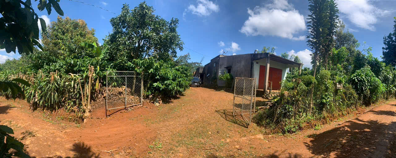 • CỰC PHẨM - GIÁ TỐT - CHÍNH CHỦ CẦN BÁN NHANH LÔ ĐẤT VƯỜN CAFE + CÂY ĂN TRÁI ĐƯỜNG LIÊN XÃ - ĐINH TRANG HÒA - DI LINH