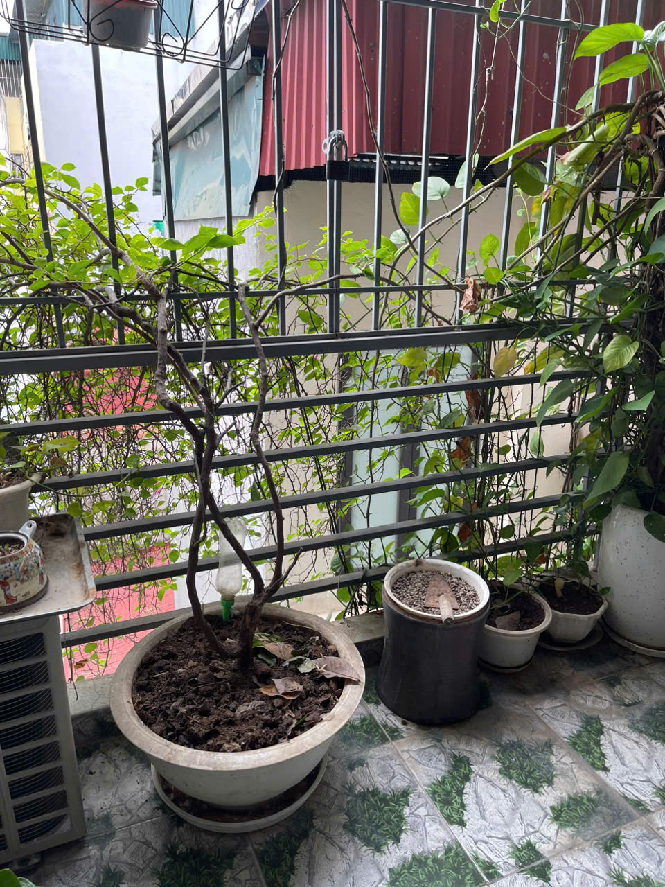 BÁN GẤP NHÀ CẦU GIẤY , 35M2, 5 TẦNG, XÂY MỚI ,GIÁ 8,5 TỶ, LH: 0936361623