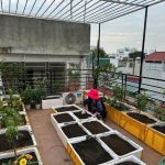 50m2 - 6
