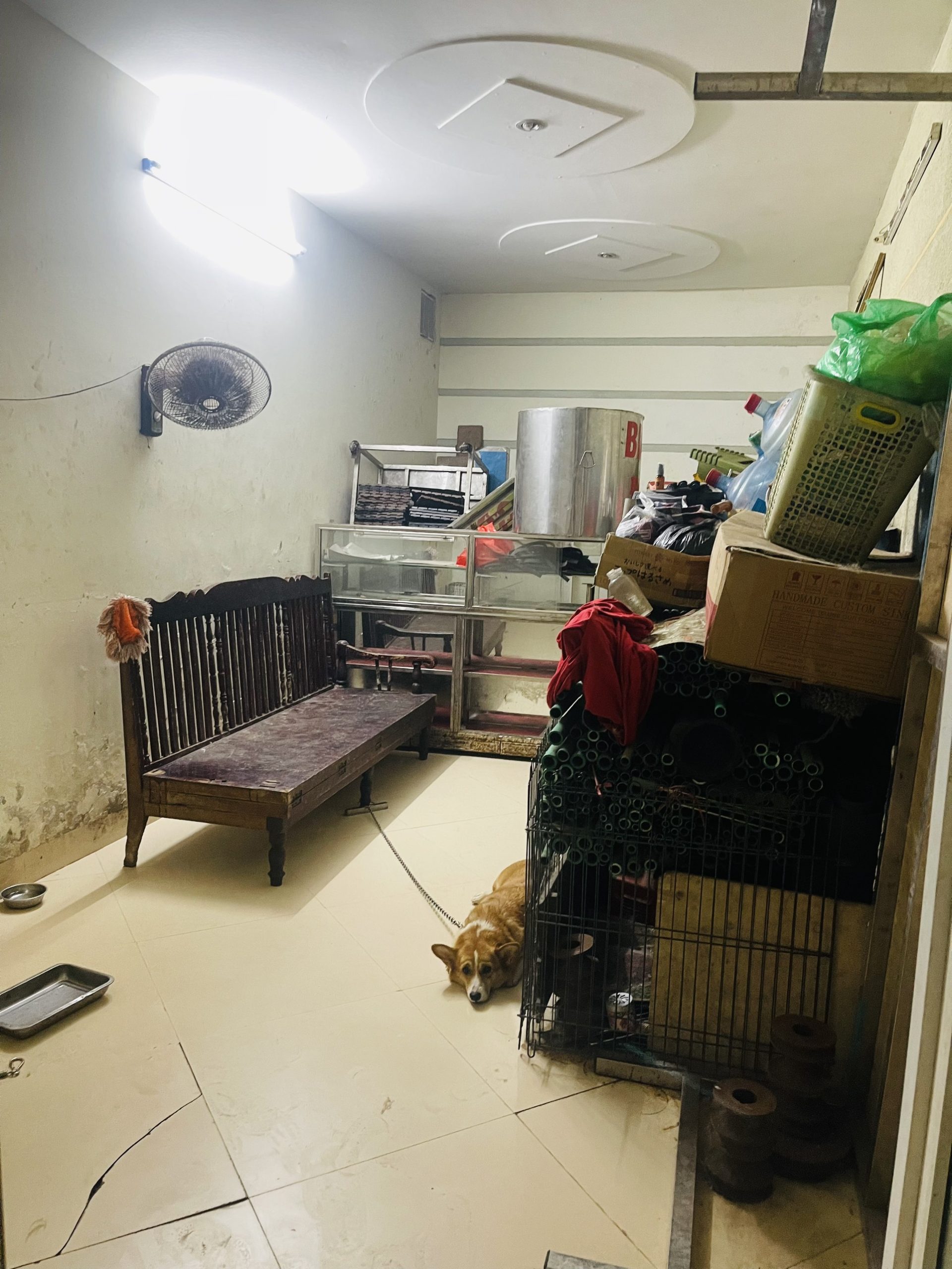 Bán Nhà Mặt Bưởi, 4 tầng, 50m2, 7 ngủ, 3 thoáng vĩnh viễn, 2 lối đi 1 mặt ngõ, 1 mặt phố, bao QH