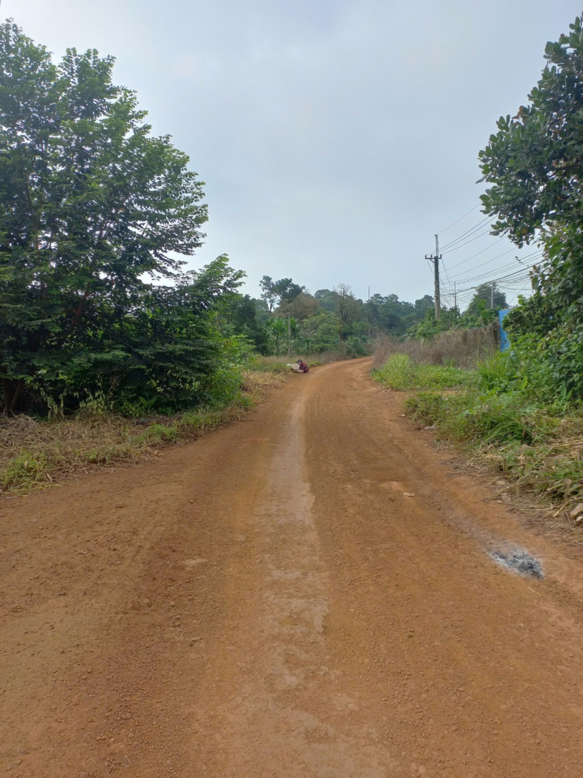 Chính chủ cần bán lô đất tại thôn 12, Nhân Cơ, Dăk R'Lấp, Đăk Nông.