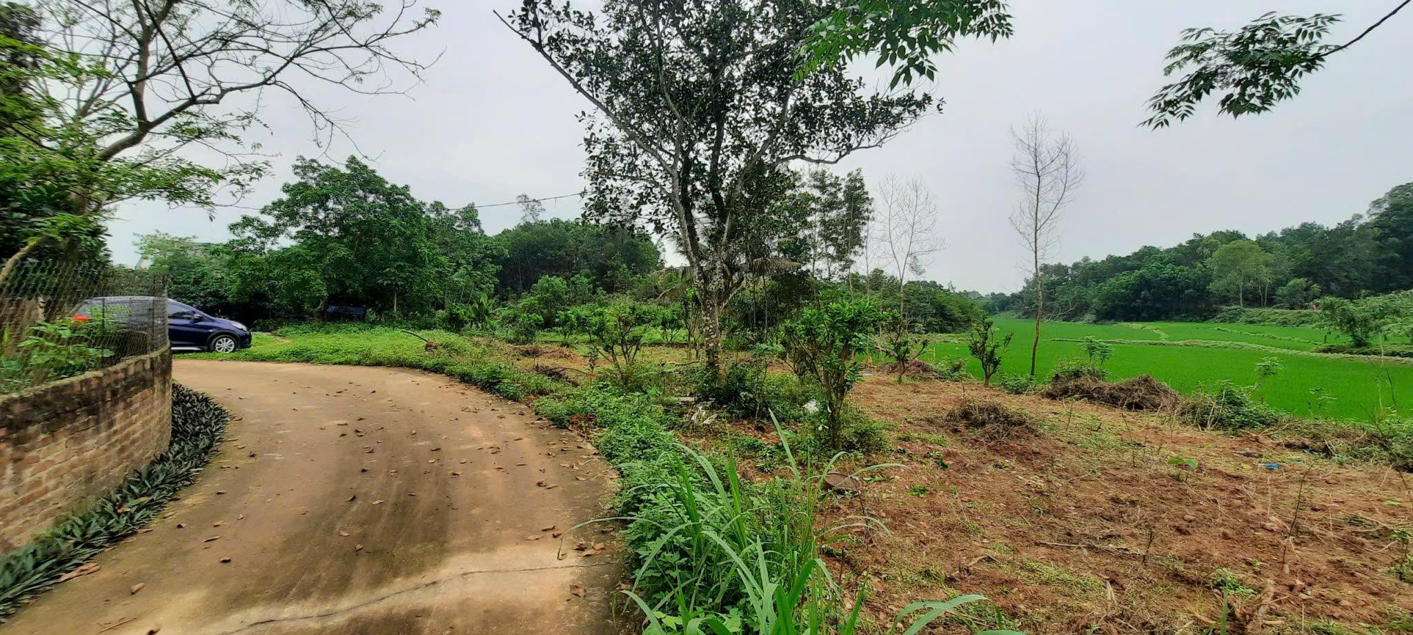 Bán đất Sóc Sơn, sẵn sổ, mặt tiền 35m, đường ô tô, 2,4tr/m2 - THÙY SÓC SƠN