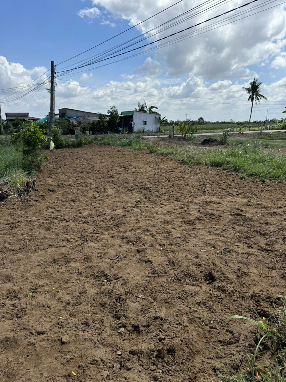 %%CHÍNH CHỦ CẦN BÁN LÔ ĐẤT Ở THUỘC KHU DÂN CƯ XÃ PHÚ THẠNH - H.TÂN PHÚ ĐÔNG - TIỀN GIANG.
