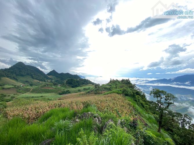 Bán gấp mảnh đất Mộc Châu diện tích hơn 2ha đã có sổ đỏ, mặt tiền bám đường hơn 300m