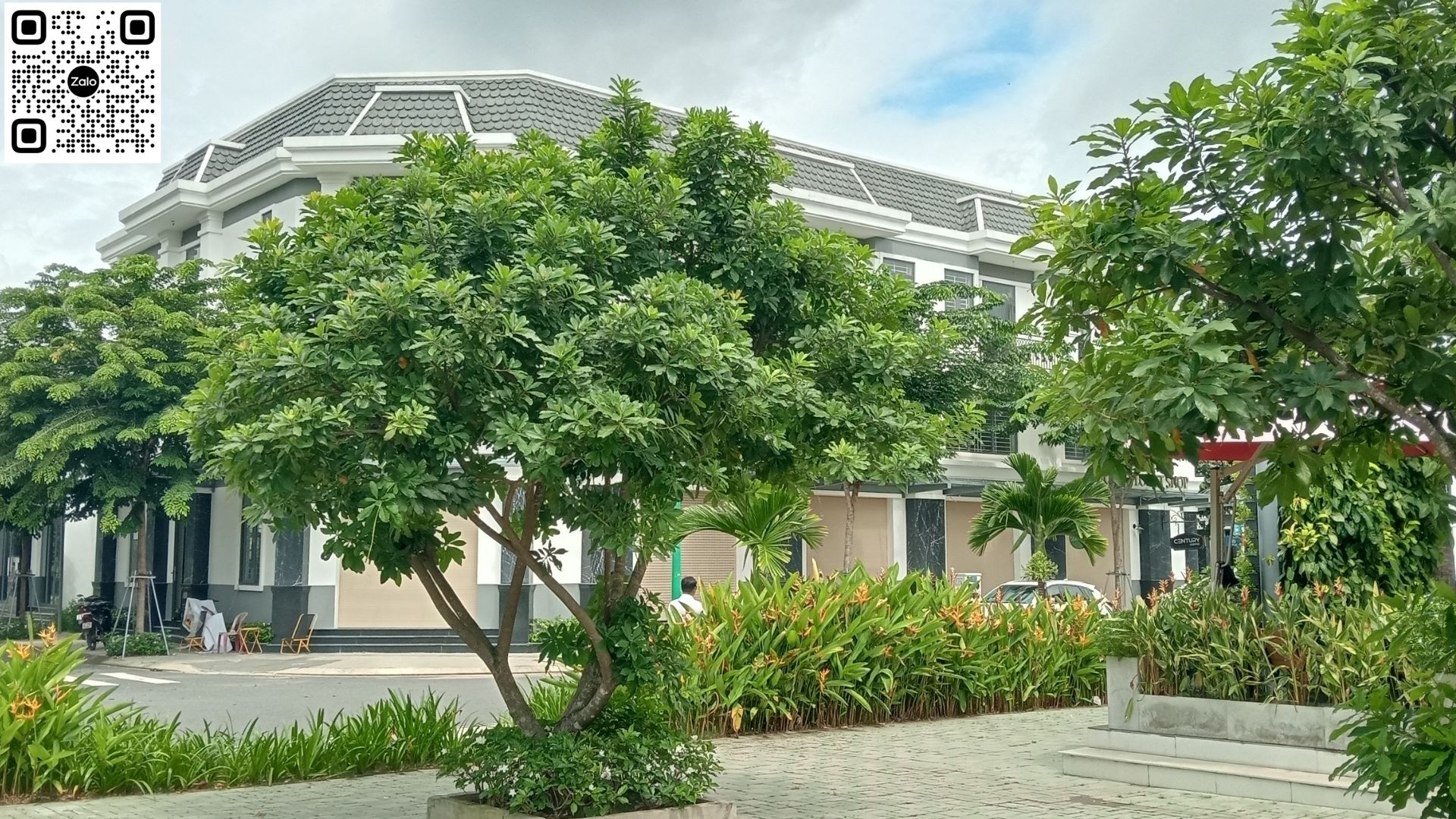 Bán Nhà Đất Phường Hòa Lợi, Tp Bến Cát, Tỉnh Bình Dương Giá Rẻ Thích Hợp Đầu Tư Hoặc Ơ Kinh Doanh Buôn Bán