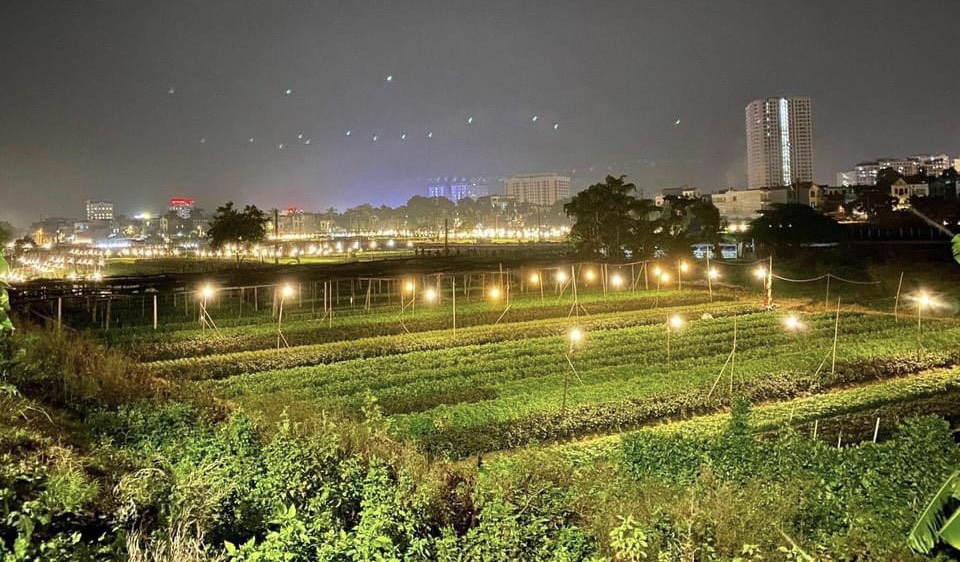 Bán lô đất thổ cư khu Võ Cường, Bắc Ninh.