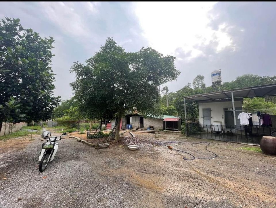 Bán Lô đất Trang Trại 1925m2 tại Tổ 2, Khu Cầu Trắng, Đại Yên, Tp. Hạ Long.
