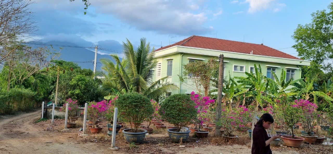 BÁN LÔ ĐẤT DT RỘNG 1312m2 TẠI XÃ DIÊN ĐỒNG, DIÊN KHÁNH - GIÁ SIÊU RẺ CHỈ 1.3 TRIỆU/m2