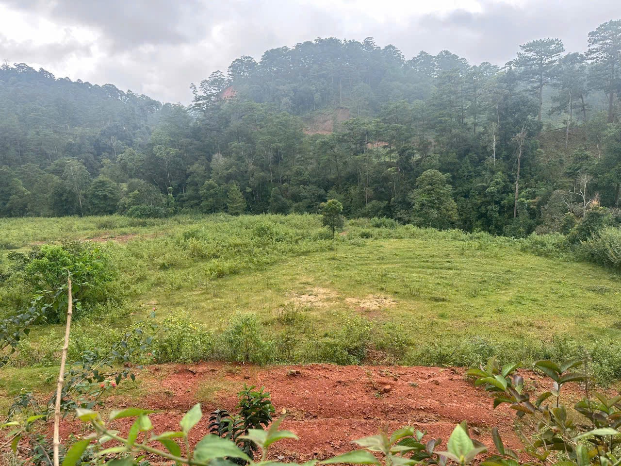 Đất Đẹp - Gía Tốt - Chính Chủ Cần Bán Gấp Đất Tại Xã Lát - Huyện Lạc Dương - Tỉnh Lâm Đồng