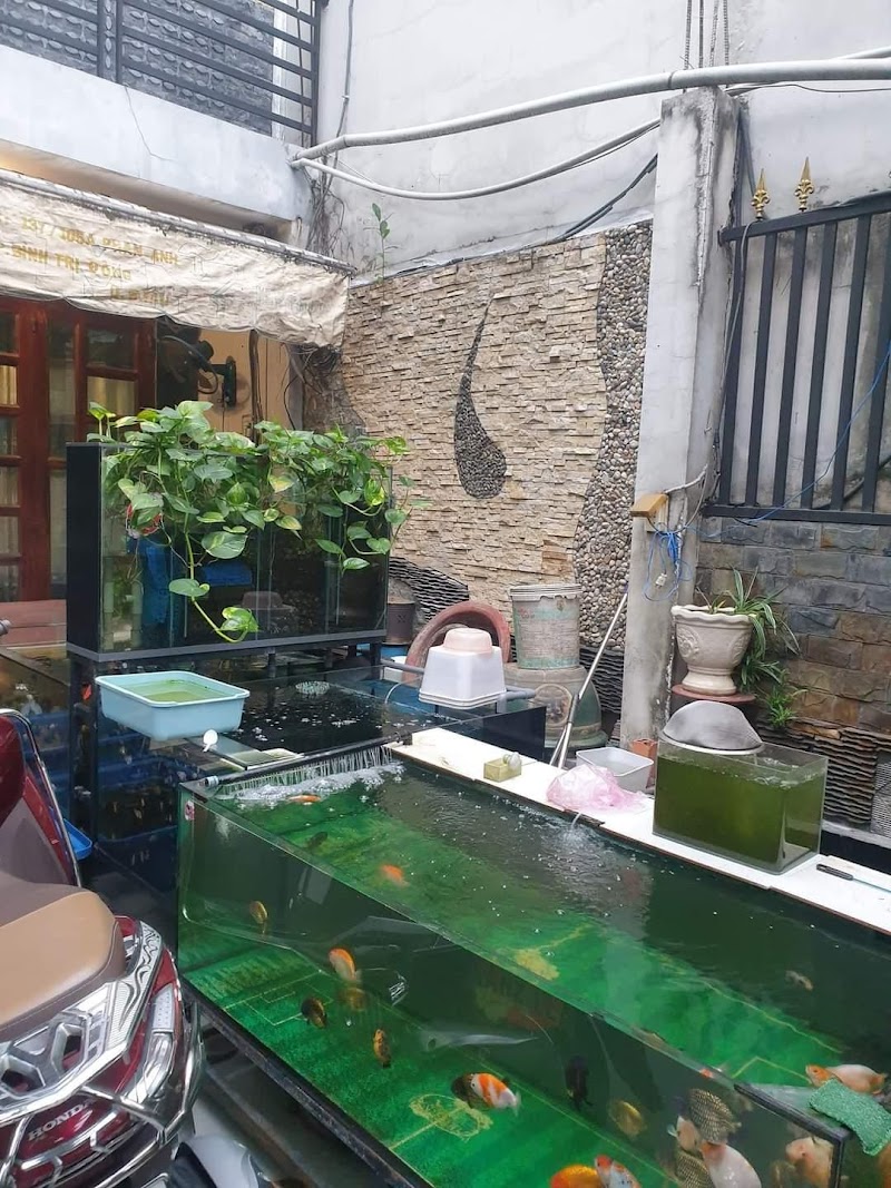 Bán nhà Phan Anh, Bình Trị Đông, Bình Tân,HXH ngang hiếm 8m x 20m, chỉ 12.5 tỷ